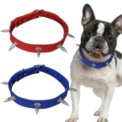 KÖPEK TASMASI ÇİVİLİ